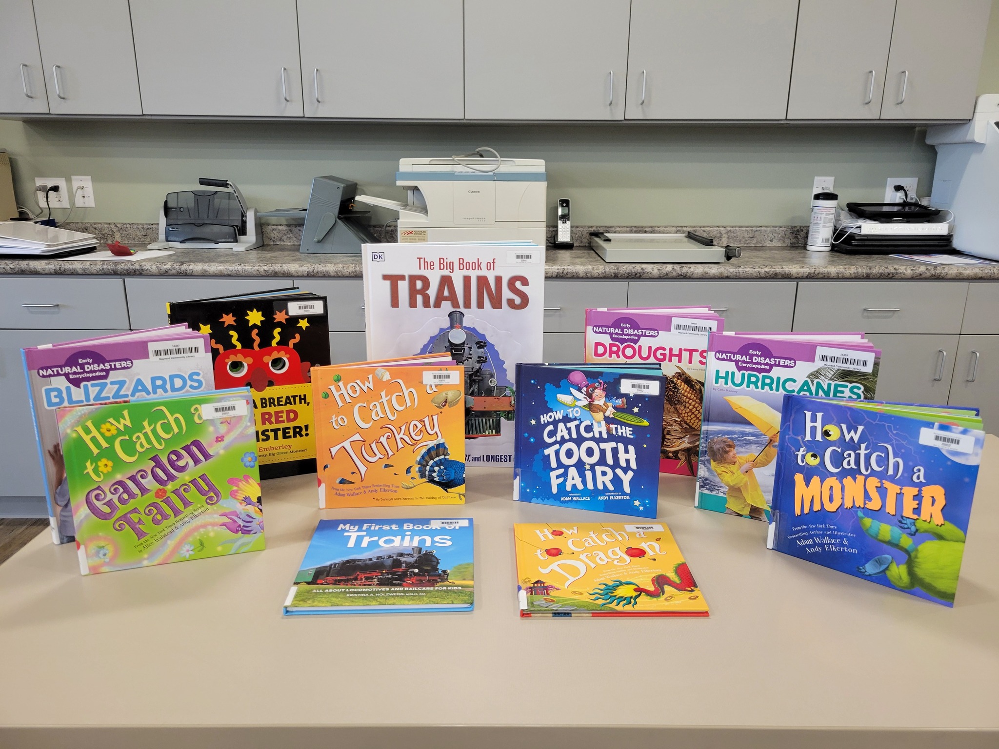 Ann Jens Memorial Books